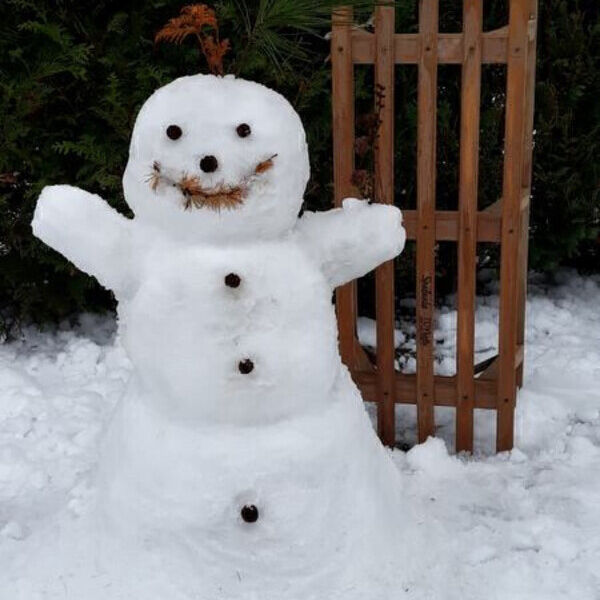 ... in njegov snežak