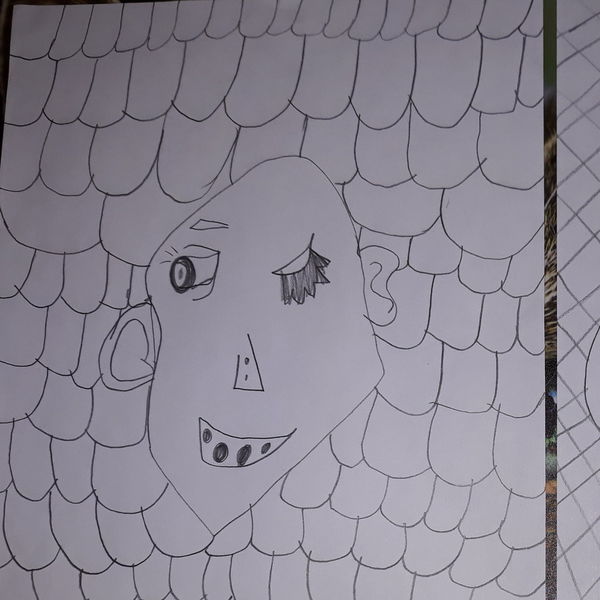 Picassova portreta po Majino